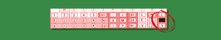 Opcion Simple Resultado Final